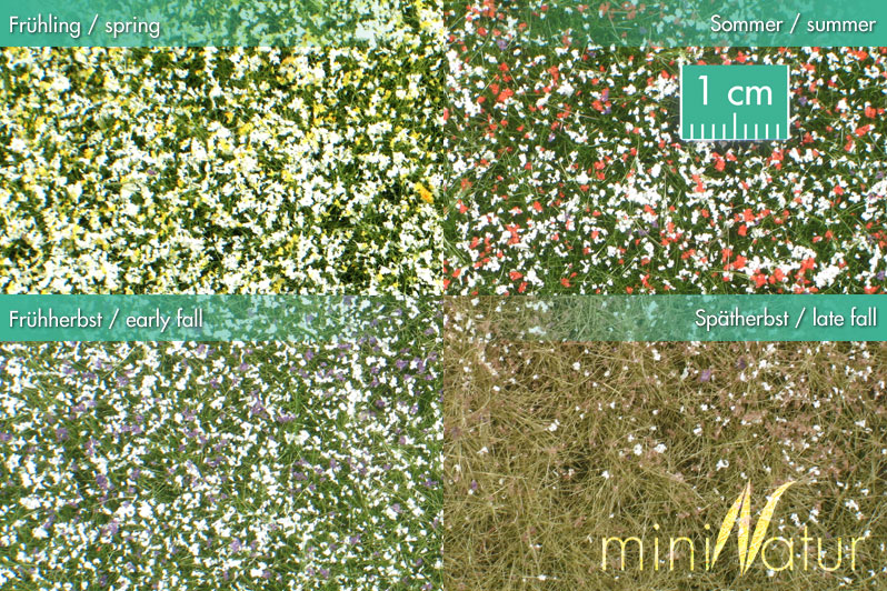 Wiesen mit Blüten - Kopie