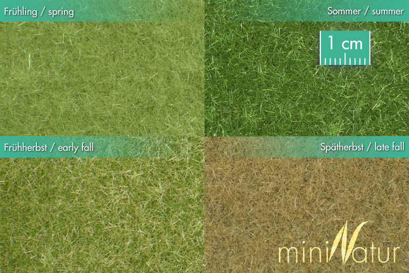 Neue Warengruppe - Kopie