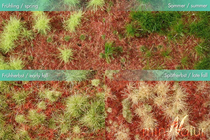 Waldboden bewachsen - Kopie