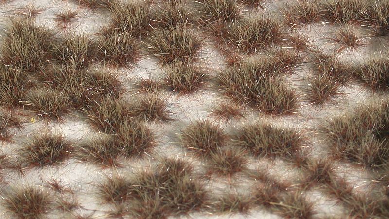 Desert tufts - Kopie