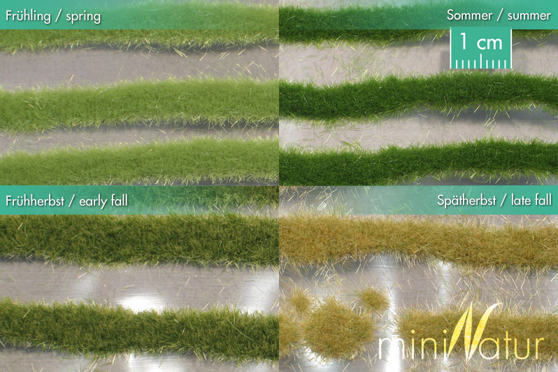 Grasstreifen - Kopie
