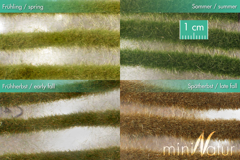 Karst strips - Kopie