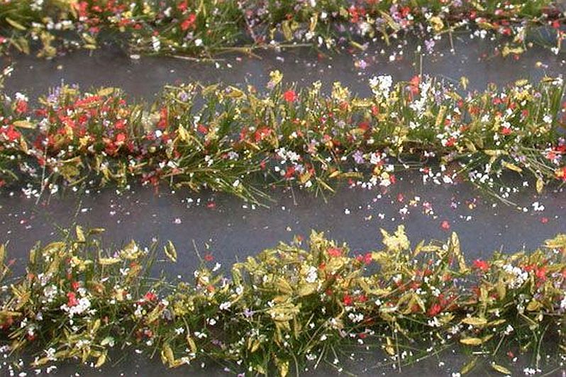 Flower field strips - Kopie