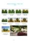 Preview: Online Catalog 2020, to scroll