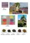 Preview: Online Catalog 2020, to scroll