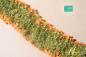 Preview: Flowers orange