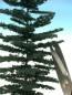 Preview: Weathered nordic fir high trunk kit summer