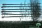 Preview: Bausatz Innenwald-Tanne Sommer