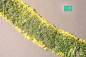 Preview: Blumen gelb,