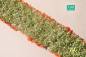 Preview: Blumen rot,