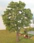 Preview: Ash-tree summer Profi