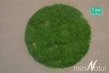 Mininatur herbe Flock 6,5 mm foin pendant 50gr 13,90 € Nº 006-39 prix//100gr