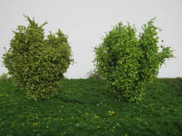 High shrubs, Profiline