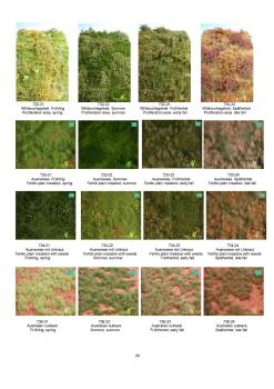 Online Catalog 2020, to scroll