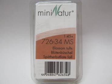Blütenbüschel  Spätherbst