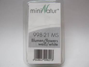 Flowers white,