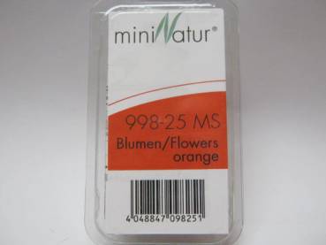 Blumen orange,