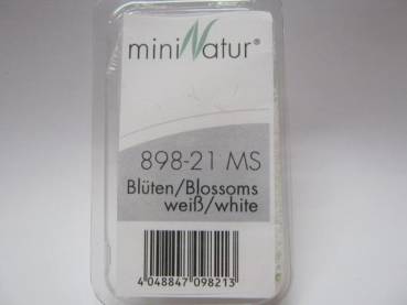 Blossoms white,