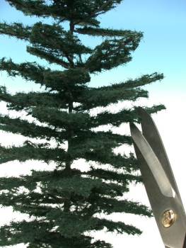 Weathered nordic fir high trunk kit summer
