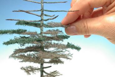 Weathered nordic fir assembly kit summer