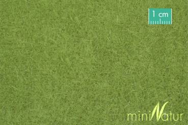 Tall lawn spring