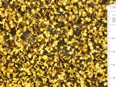 Maple leaves yellow late autumn 1:87