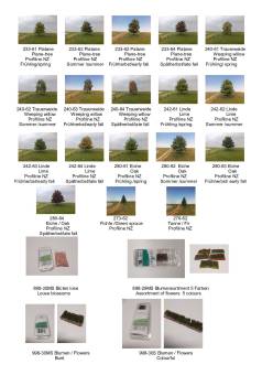 Newsletter2021