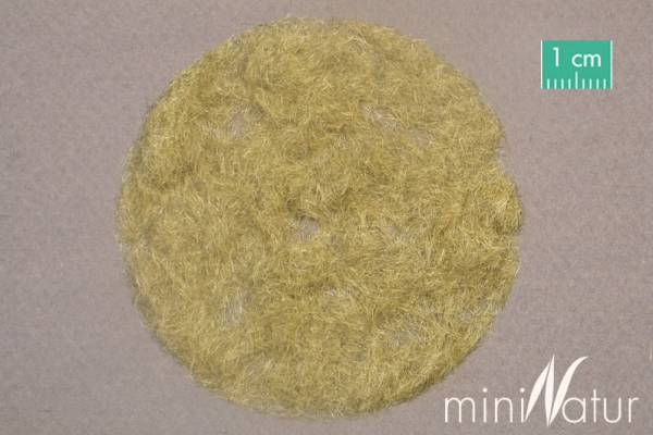 Nr miniNatur Gras Flock 2mm Sommer 50gr 002-22  Preis/100gr 11,60 € 