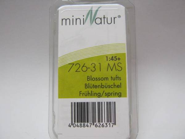 Blütenbüschel  Frühling