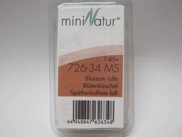 Blütenbüschel  Spätherbst