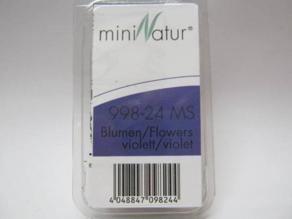 Blumen violett,
