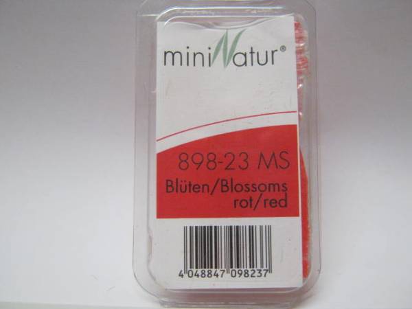 Blüten lose rot,
