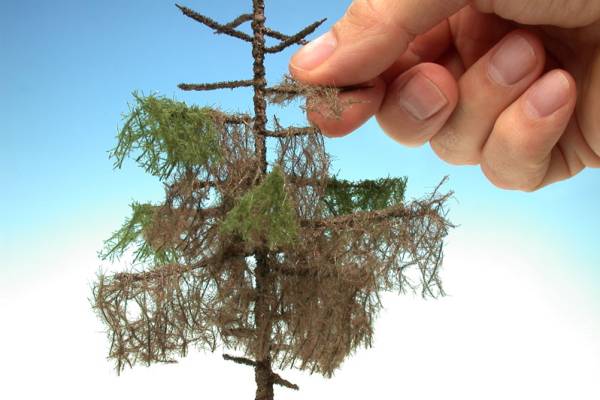 Weathered green spruce kit (1:87) summer