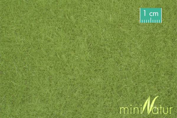 Tall lawn spring