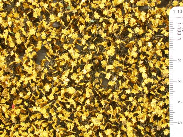 Maple leaves yellow late autumn 1:87