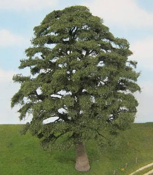 Oak tree spring Profi