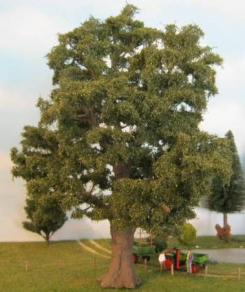 Oak tree exclusive profi spring