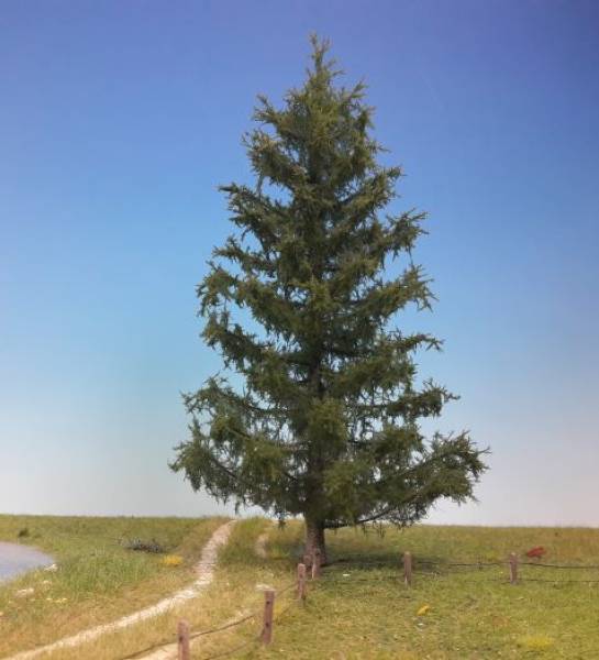 Spruce Profiline