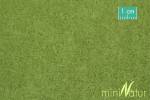 Tall lawn spring