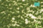 Calcareous meadow summer