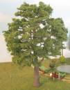 Ash-tree spring Profi