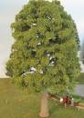 Lime late fall Profi